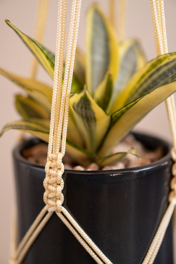 Macrame Plant Hanger - MPH0002