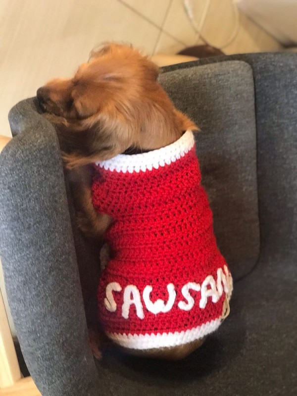 Christmas vest with furry baby name