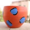 Blue leopard, in orange pot