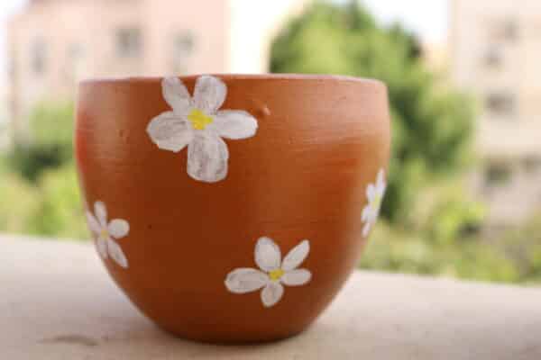 Brown in White Pottery Pot