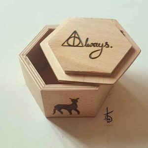 Harry Potter snape box