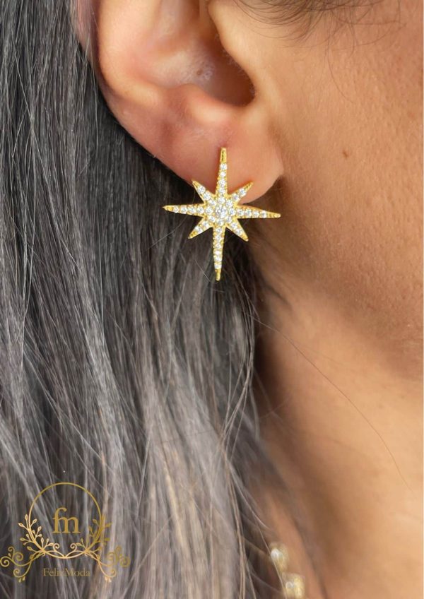 Star silver earrings gold plated